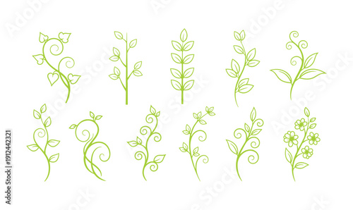 Collection of vines and shoots isolated against a white background. Created in line art style. A stylized silhouette of beautiful plants suitable for logos, eco-friendly designs
