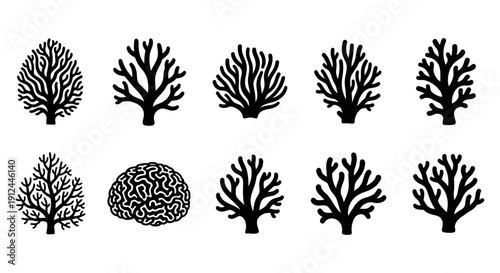 black coral and brain silhouettes illustrating organic growth neural networks and interconnected biological systems for design visuals.