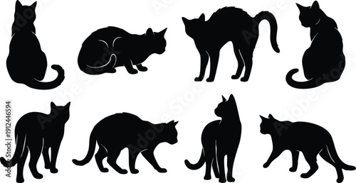 Collection of Silhouetted Cats in Various Poses.