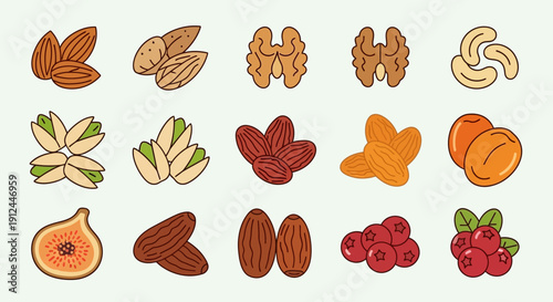 Assorted Nuts and Dried Fruits Illustration.