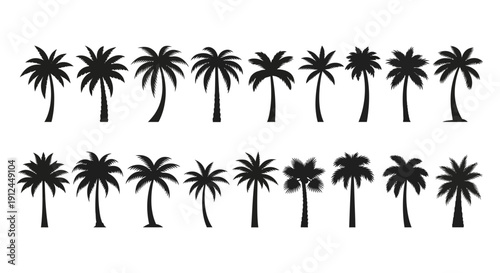 black palm tree silhouettes isolated on white a versatile vector collection for tropical summer designs beach holiday advertisements.