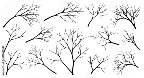 black silhouette bare tree branches and twigs collection organic natural elements isolated on white perfect for winter design