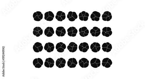 black segmented organic shapes with white crack patterns uniformly arranged on a clean background ideal for abstract biological themes or scientific textures.