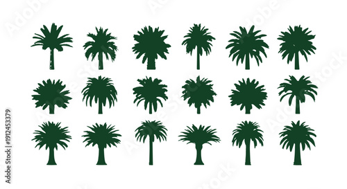 diverse collection of dark green tropical palm tree silhouettes isolated on white ideal graphic elements for summer vacation concepts