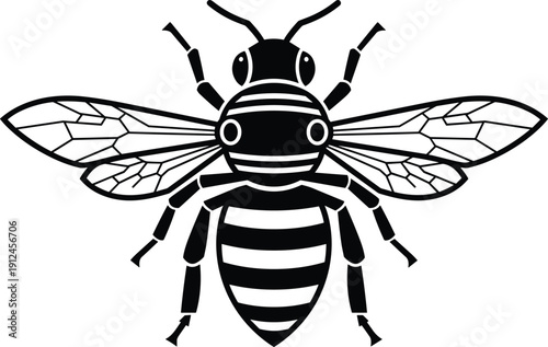 Black and white vector illustration of bee with detailed wings, striped body, antennae and legs symbolizing pollination and nature design