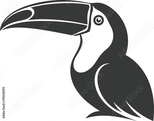 Black and white illustration of a toucan bird