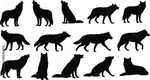 Black wolf silhouettes in various poses, howling, standing, walking, sitting, lying down, vector illustration for wildlife design projects