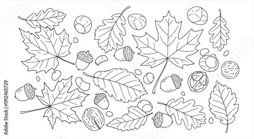 Autumn Leaves and Nuts on Forest Ground – Rustic Fall Nature Landscape Element