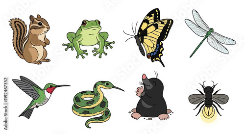 Collection of cartoon animals and insects