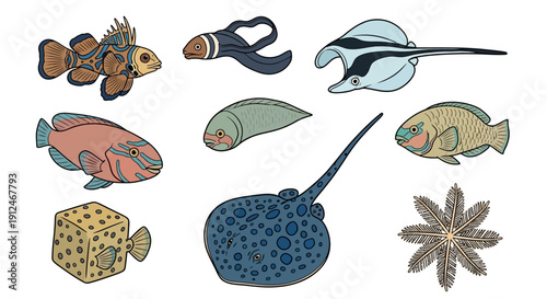 Collection of colorful marine animals and sea creatures