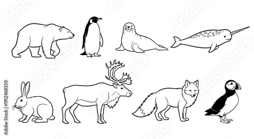 Collection of arctic animals in outline style.