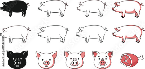 Pig transformation sequence vector illustration, progression from silhouette to colored pig and ham design for food, agriculture, anatomy, educational icon