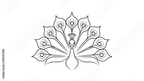 Peacock Bird Line Drawing Art.