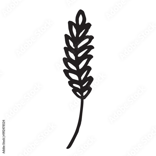 Hand drawn cereal wheat oat rye barley rice ears spikelet clipart Organic wheat bread agriculture farming harvest healthy food Single element for print packaging label design decor
