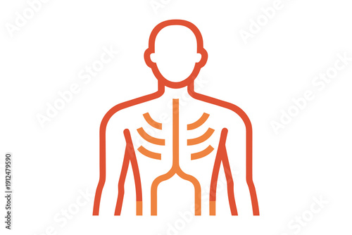Anatomy of human body