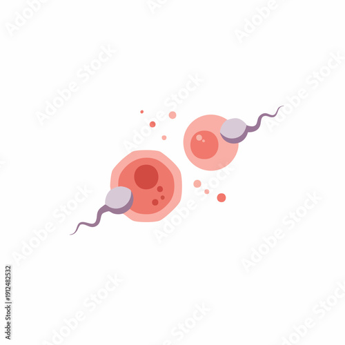 Flat Design Fertilization Process Illustration of Sperm and Egg Cell Fusion