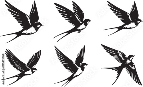 Six black and white illustrations of birds in flight, showcasing different poses and angles