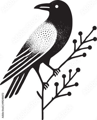 A black and white bird perched on a bare branch with small buds.