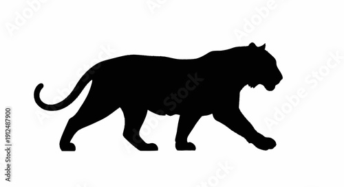 Silhouette of a walking tiger on a white background.