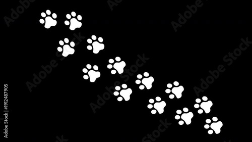 Dog Paw Prints Walking Animation Alpha Channel Transparent Background Cute Animal Overlay 4K