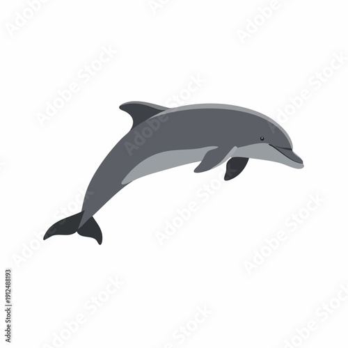 Flat Cartoon Style Playful Dolphin Character Aquatic Mammal Illustration