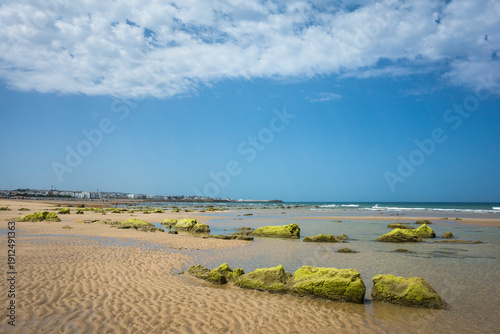 Asilah beach in Morocco with vibrant green mossy rocks, calm shallow waters, and a distant coastal town under a clear sky
