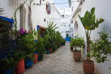 Keuken achterwand Smal steegje Witgekalkte steeg in Asilah Marokko  © art_of_line