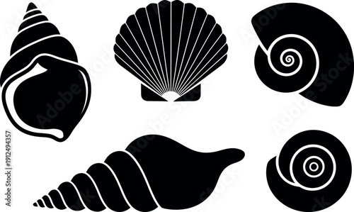 Summer beach seashells silhouette collection for coastal decor and summer vacation