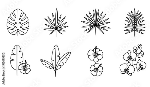 Modern minimal tropical leaves and flowers icon set palm monstera botanical floral vector illustration isolated on transparent background