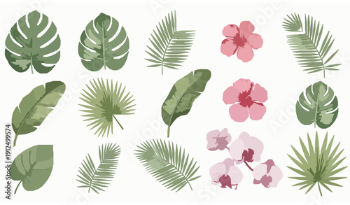 Tropical plant leaves and exotic flowers botanical collection palm monstera hibiscus floral vector illustration isolated on transparent background