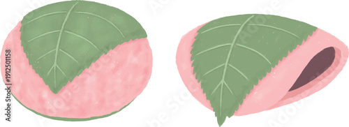 関西風と関東風の桜餅の手描き風イラスト