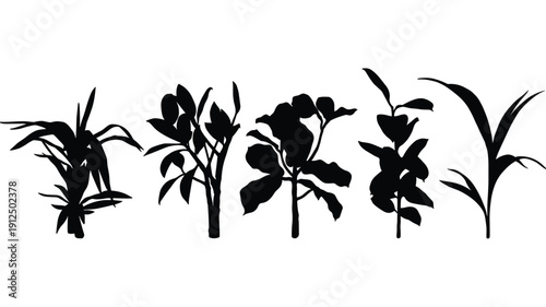 Plants and herbs silhouettes on transparent background collection of different types of plants