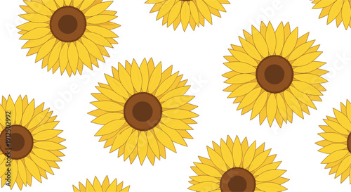 Seamless sunflower pattern vector with blooming yellow flowers for summer floral background and textile design