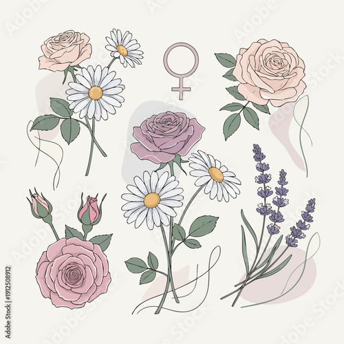 Celebrating Women's Day with Roses, Daisies, and Lavender Illustrations