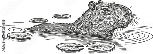beaver swimming in water with floating lemon slices, detailed ink drawing wildlife illustration