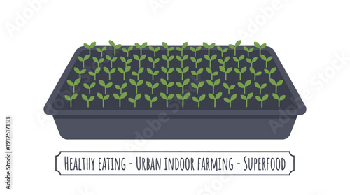 Green plant seedlings growing in black plastic tray. Healthy eating and urban indoor farming superfood concept. Flat vector.