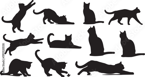 Vector silhouette set of twelve black domestic cats in various playful and relaxed poses, isolated on a transparent background, ideal for pet-themed branding or graphic design.