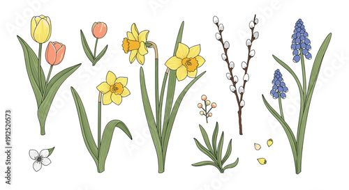 Beautiful collection of spring flowers including yellow and pink tulips, daffodils, and pussy willow branches on a clean white backdrop.