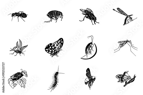 Insect vector icon collection. Includes beetle, ant, butterfly, dragonfly, spider, fly, centipede, and moth symbols. Created in black line style with white background