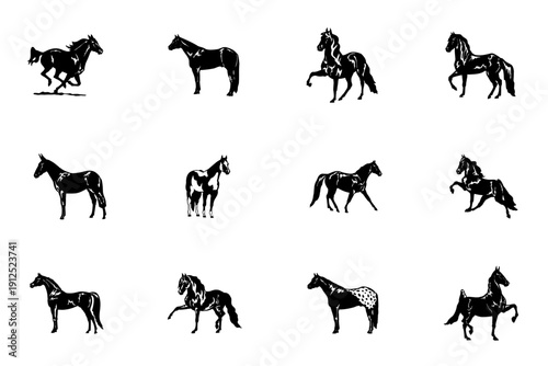Horse icon collection. Includes horse silhouettes, horseback riding, and horse poses. Created in black silhouette style with white background.