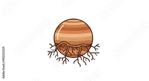 Brown Seedling Sprouting Roots from Seed on White Background