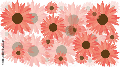Soft pink and coral gerbera daisies with translucent petals overlapping creating a vibrant floral collage background