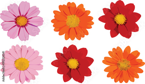 Colorful hand drawn floral vector set featuring bright pink orange and red blooming flowers isolated on clean background for decorative design