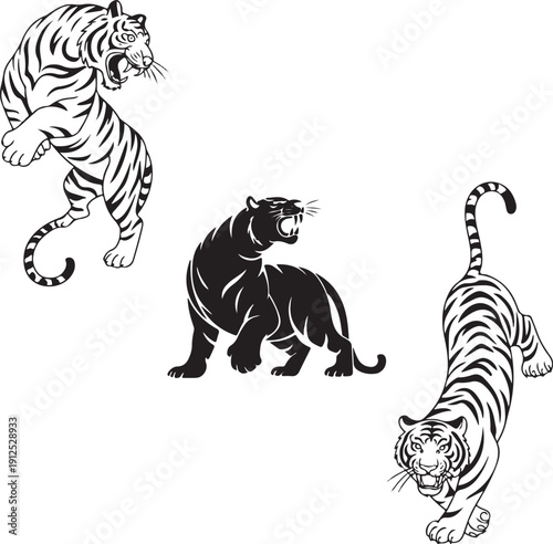 Set of black and white tiger vector illustrations featuring roaring, leaping, and stalking poses isolated on white background.
