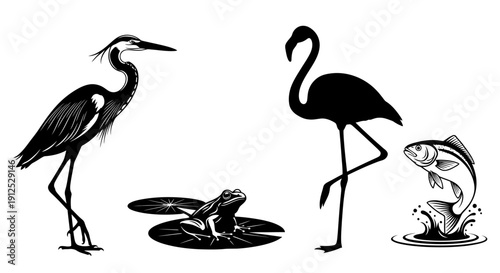 Black and white illustrations of various wetland animals including a heron, flamingo, frog, and fish.