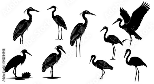 Set of various heron and flamingo bird silhouettes in different poses, black and white vector illustration.
