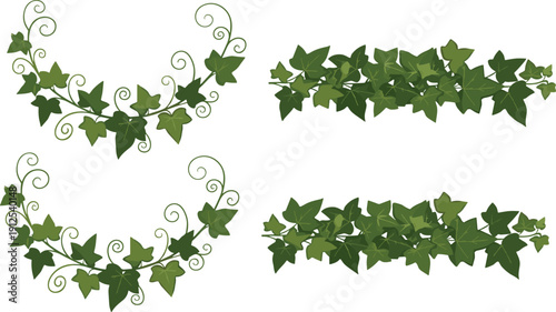 Decorative green ivy vine border set vector illustration with swirling leaves and botanical ornamental design elements