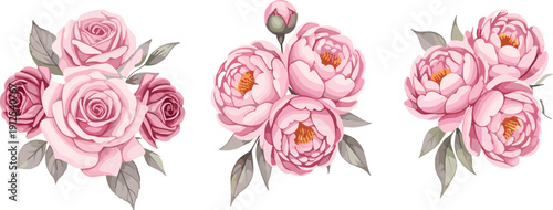Elegant pink rose and peony flower bouquet vector illustration set with romantic botanical floral arrangements isolated background