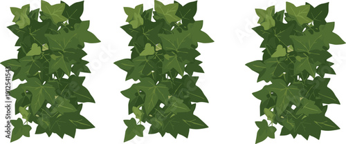 Green ivy vine seamless pattern vector illustration with lush climbing leaves and natural botanical decorative background design