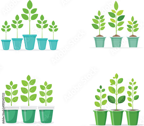 Collection of several plants of the same green color with stems that stand upwards and are arranged in plastic cup holders editable.